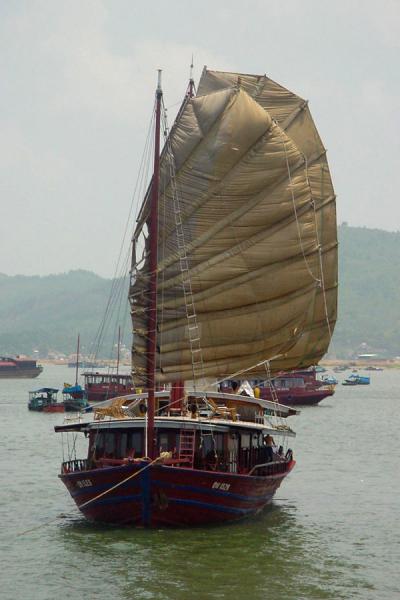 One of the traditional boats in the harbour, Halong Bay, Vietnam