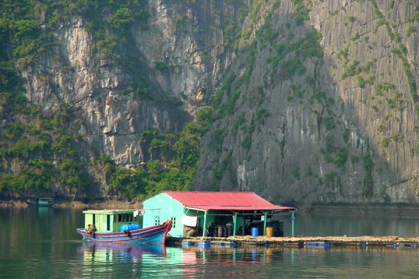 Living on the sea, Halong Bay, Vietnam
