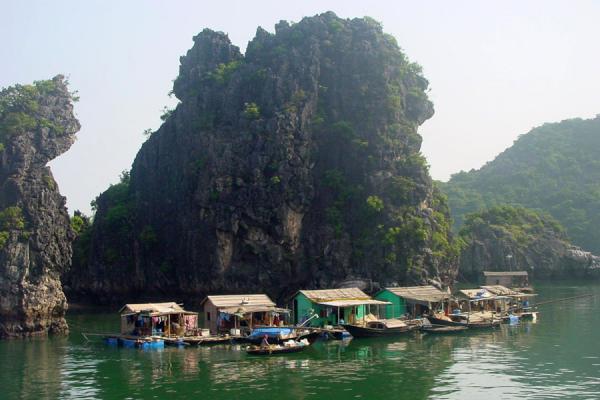Market, Halong Bay, Vietnam